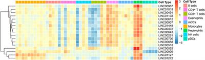 Computational recognition of LncRNA signatures in tumor-associated neutrophils could have implications for immunotherapy and prognostic outcome of non-small cell lung cancer